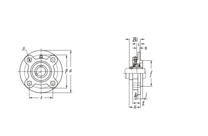 SLB-UCFC205-round-flange-ball-bearing-unit-(new)-(carton)-4