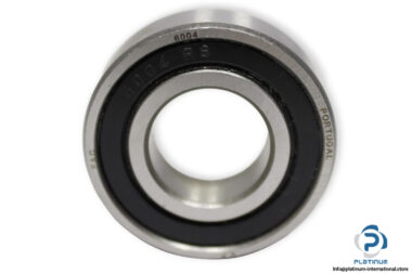 fag-6004-2RS-deep-groove-ball-bearing-(new)-1