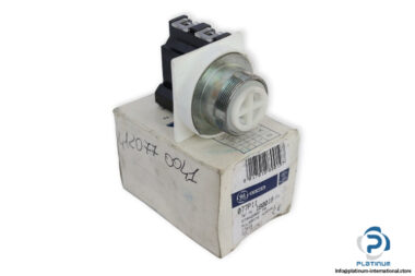 ge-077P11-push-button-(New)