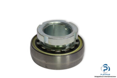 ina-GSH30-RRB-insert-ball-bearing-(new)