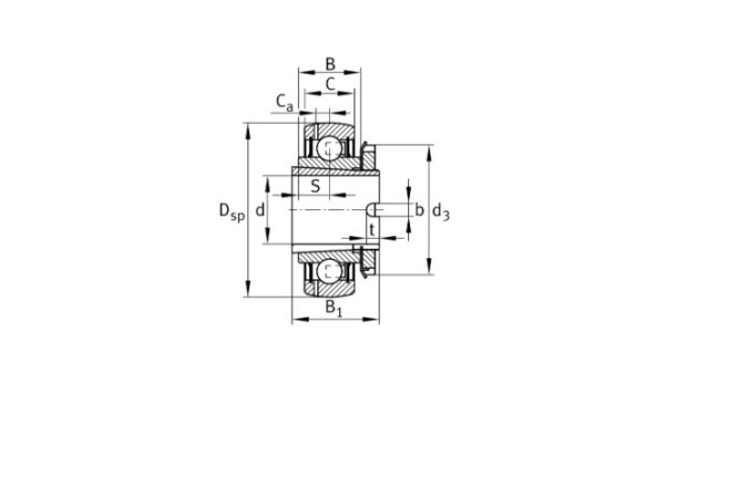 ina-GSH40-2RSR-B-insert-ball-bearing-(new)-3