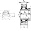 ina-TSHE30-XL-N-plummer-block-housing-unit-(new)-(carton)-4