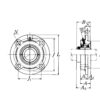 nsk-UCFC203-AV2-round-flange-ball-bearing-unit-(new)-(carton)-4