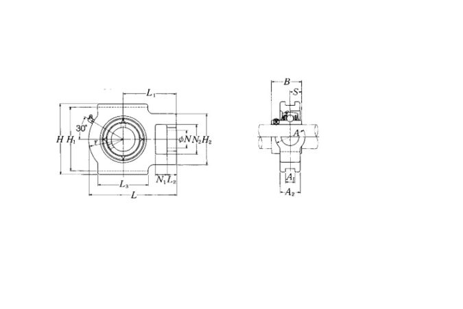 nsk-UCT204-N-AV2S-take-up-ball-bearing-unit-(new)-(carton)-4