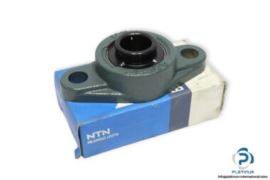 ntn-M-UCFL205D1-oval-flange-ball-bearing-unit-(new)-(carton)