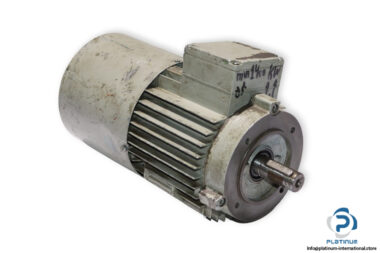 robert-birkenbeul-4APB90S-4-G13-PREC-brake-motor-used