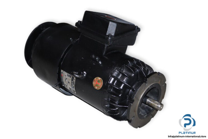 WINKELMANN-D-GNFZE-10114-DC-MOTOR-3_675x450.jpg