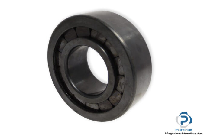 ina-SL19-2320-C3-cylindrical-roller-bearing-(new)