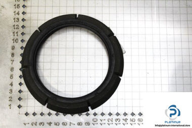 demag-05978684-_-riw-brake-ring-1