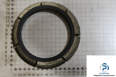 demag-06471284-_-riw-brake-ring-1