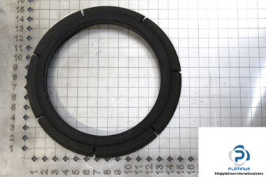 demag-06478784-_-riw-brake-ring-1