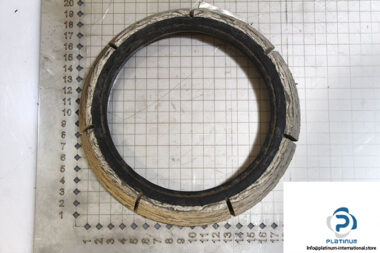 demag-07471284-_-riw-brake-ring-1