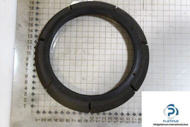 demag-07475684-_-riw-brake-ring-1