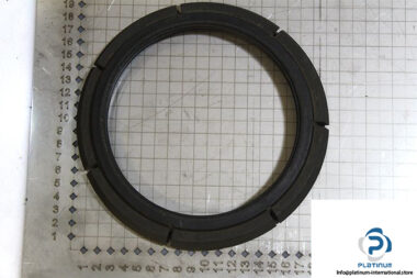 demag-07478784-_-riw-brake-ring-1