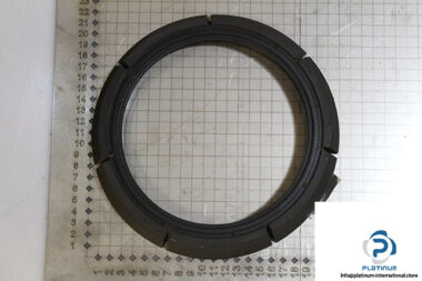 demag-07978684-_-riw-brake-ring-1