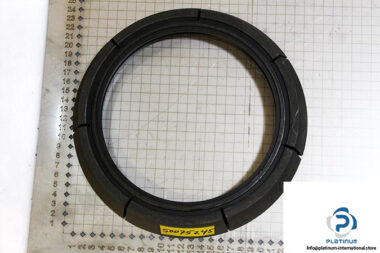 demag-08478684-_-riw-brake-ring-1