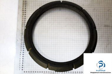 demag-09972884-_-riw-brake-ring-1-2