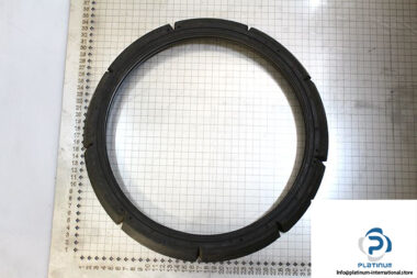 demag-09972884-_-riw-brake-ring-1