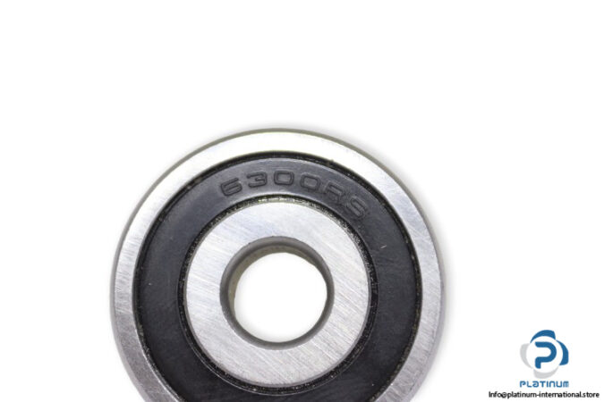 6300-2RS-deep-groove-ball-bearing-(new)-1