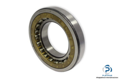 bearings-image-007