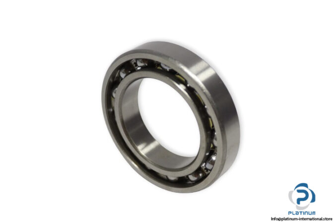 codex-6010-deep-groove-ball-bearing-(new)