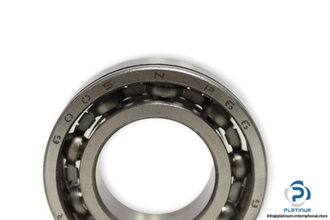 dkfddr-6005-N-P66-deep-groove-ball-bearing-(new)-1