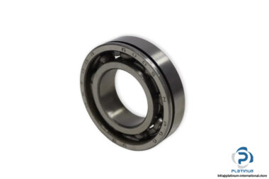 dkfddr-6005-N-P66-deep-groove-ball-bearing-(new)