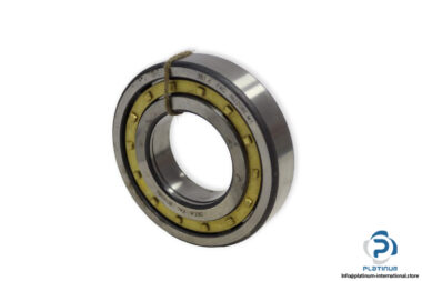 fag-NUP208E.M1-cylindrical-roller-bearing-(new)