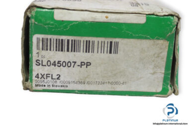 ina-SL045007-PP-cylindrical-roller-bearing-(new)-(carton)-1