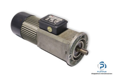 mini-motor-PA440M3T-gear-motor-220-(used)