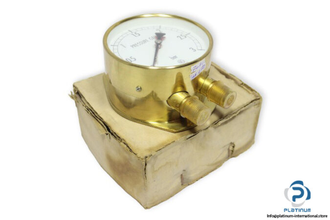 nagano-3677142-pressure-gauge-(new)