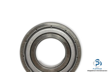 nks-6004ZZ-deep-groove-ball-bearing-(new)-1