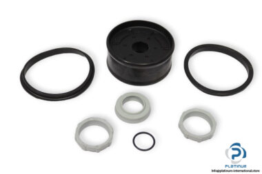 pneumax-RG1319_0012-seal-kit-(new)