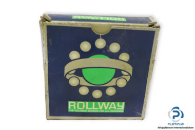 rollway-6010-2RS-deep-groove-ball-bearing-(new)-(carton)