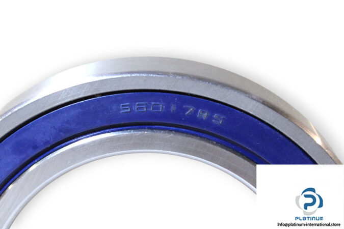 s6017rs-deep-groove-ball-bearing-1