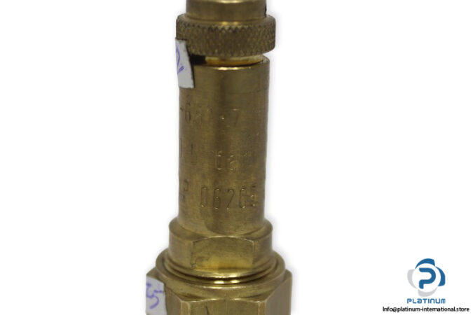 TUV-SV-01-651-7-safety-valve-used-5