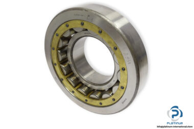 bearings-image-007