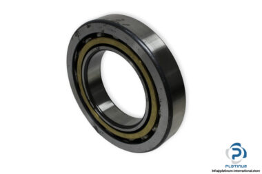 bearings-image-009