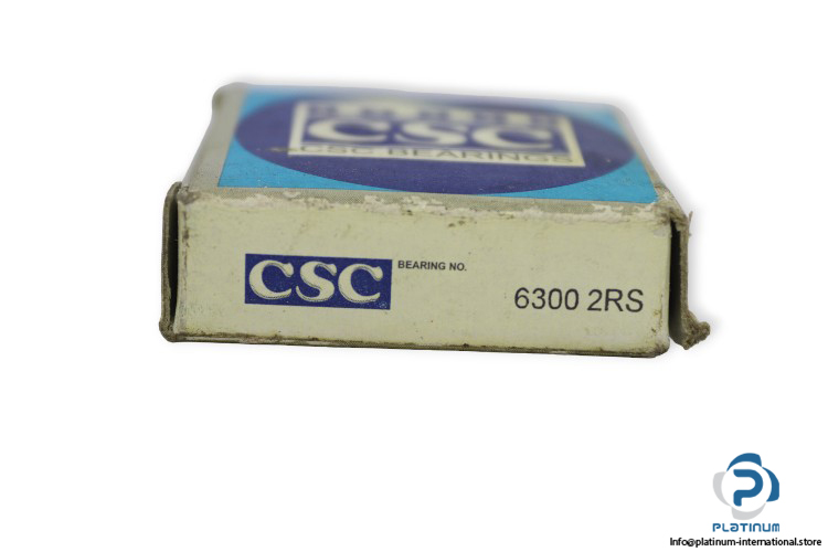 csc-6300-2RS-deep-groove-ball-bearing-(new)-(carton)-2