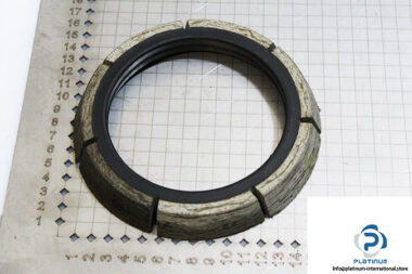 demag-06471284-_-riw-brake-ring