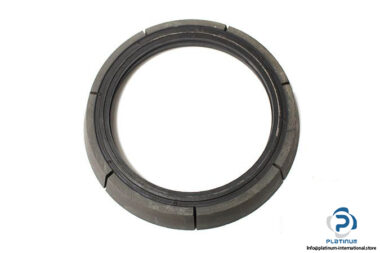 demag-V-084-786-84-brake-ring