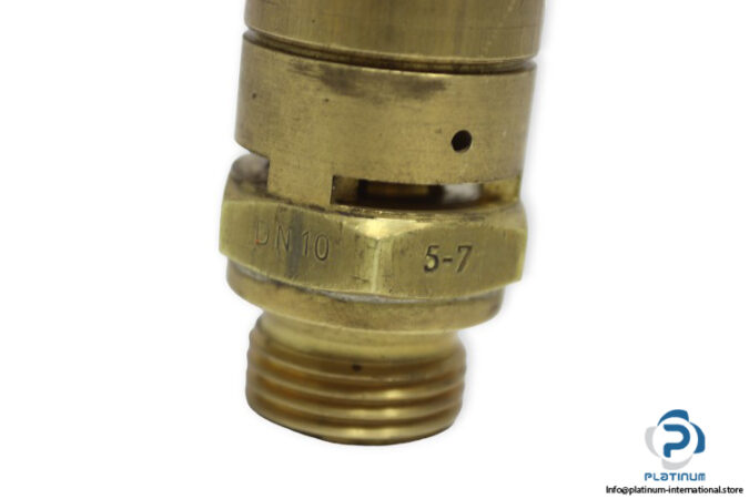 ewo-TUV-SV-95-338-10.D_G-0-43-safety-valve-used-5