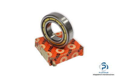 fag-6006-P63-deep-groove-ball-bearing-(new)-(carton)