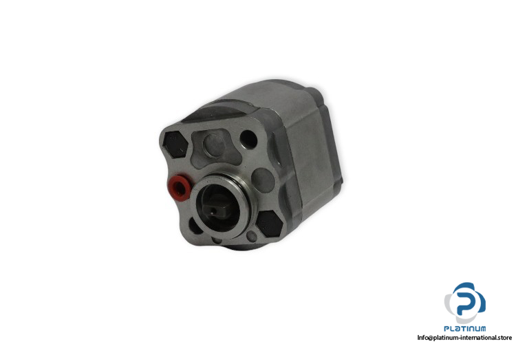 hy-E60604035H-hydraulic-pump-(new)-1