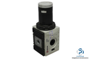 Riegler-559-pressure-regulator-(used)