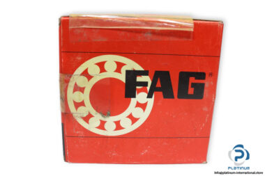 fag-NU221.CNA-cylindrical-roller-bearing-outer-ring-(new)-(carton)