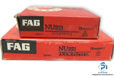 fag-NU221-cylindrical-roller-bearing-(new)-(carton)-2