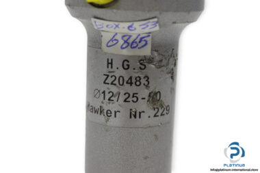 h-g-s-Z20483-hydraulic-cylinder-used-2