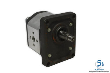 marzocchi-GHP2-D-6-gear-pump-(new)