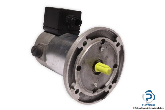 tem-PMM20240409M-dc-electric-motor-(new)